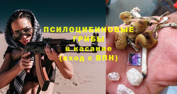гидра Баксан