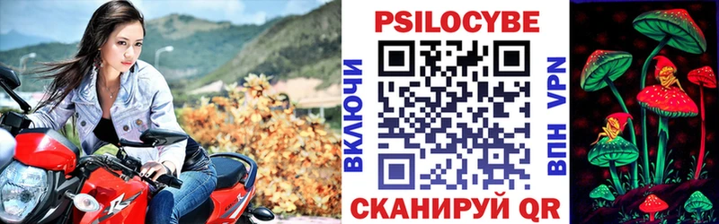 Купить закладки  Донской  Псилоцибиновые грибы прущие грибы 